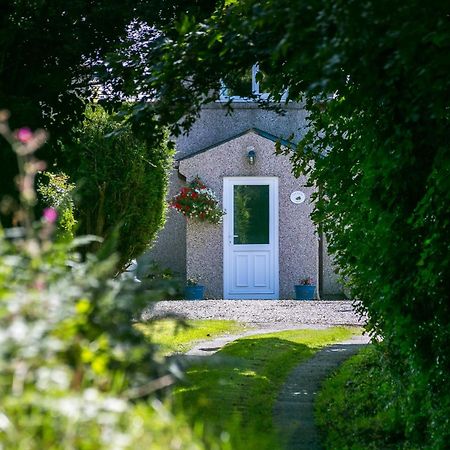 Tyn Llain B&B Llanfflewyn Exterior photo